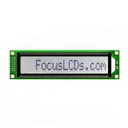 Focus LCDs C161C-FTW-LW65