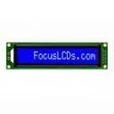 Focus LCDs C161C-BW-LW65