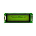 Focus LCDs C162C-YTY-LW65