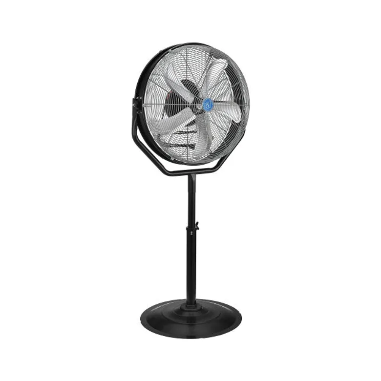 CD SFSD2S-6003