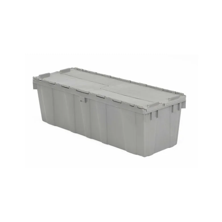 Orbis FP32 GRAY