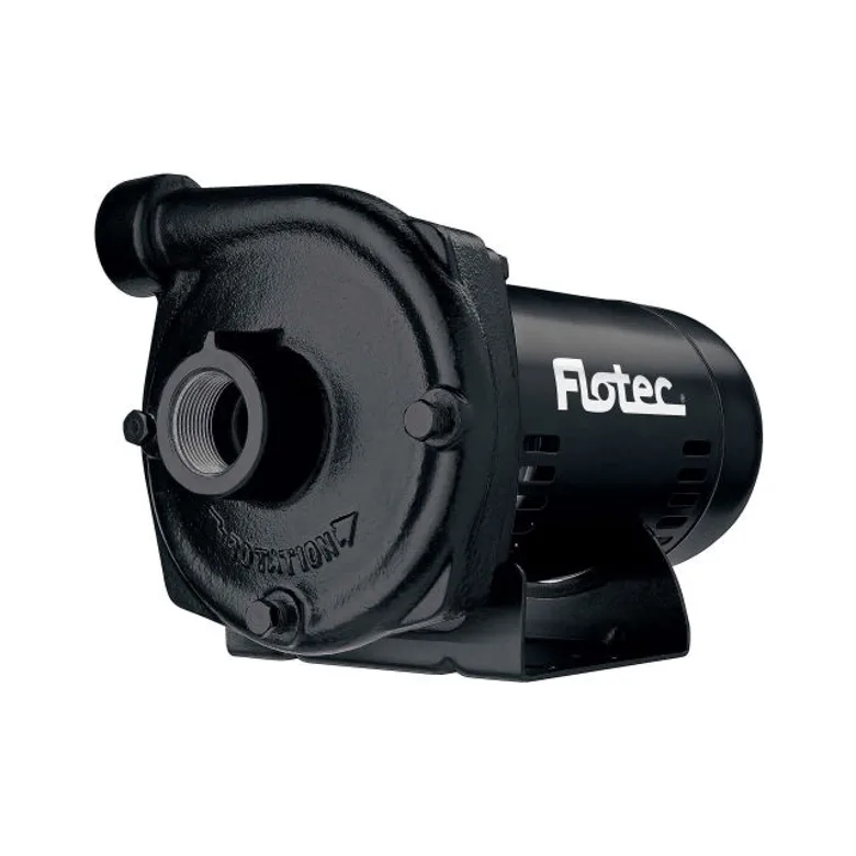 Flotec FP5542-00