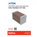 TDK CGANP0-AC01-E6-KIT