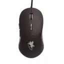 Digifast NF12
