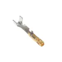Samtec Inc. CC81R-2426-01-S