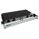 Eaton Tripp Lite N48M-2M8L4-20