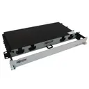 Eaton Tripp Lite N48S-2L24L-10