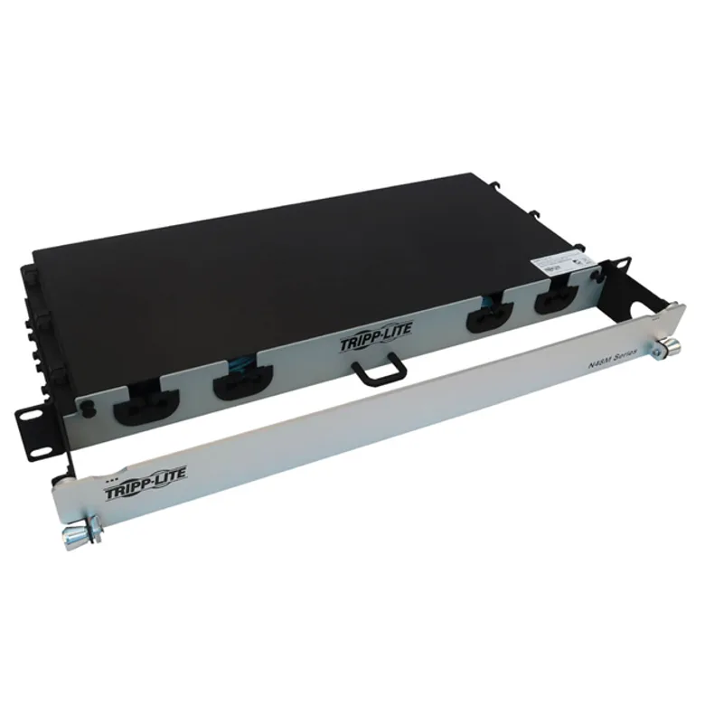 Eaton Tripp Lite N48M-2L24L-10