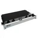 Eaton Tripp Lite N48S-2M8L4-20