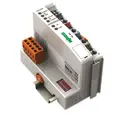 WAGO Corporation 750-806