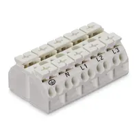 WAGO Corporation 862-9605