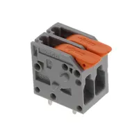 WAGO Corporation 2604-1102