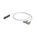 WAGO Corporation 706-2300/304-100