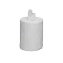 Chemtronics SIP100R