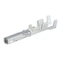 Molex 2029883242