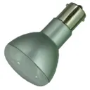 Green Ignite Inc GI-1383-W215-12
