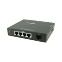 Perle Systems 06003620