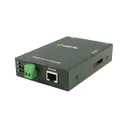 Perle Systems 06003884