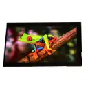 Lincoln Technology Solutions LCD087-050NTL0NCNTTR1.0