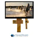 Focus LCDs E70RA-FW450-C