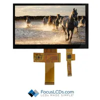 Focus LCDs E70RA-FW450-C