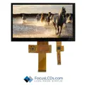 Focus LCDs E70RA-FW450-C 缩略图 2