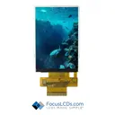 Focus LCDs E35GH-CW400-N