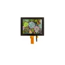 Focus LCDs E80RG88060LW6M250-C