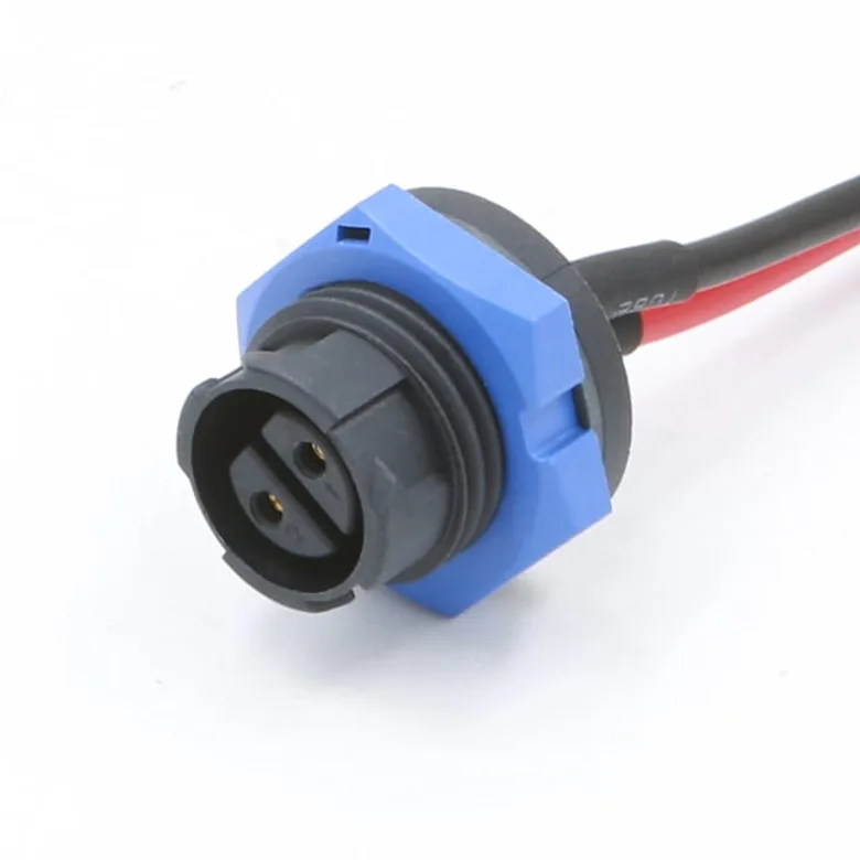 Chogori Technologies Inc. 1IC03622051306