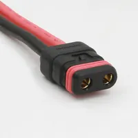 Chogori Technologies Inc. 1IC03621112311