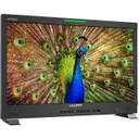 Lilliput Electronics (USA) Inc. Q24-VBP