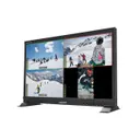 Lilliput Electronics (USA) Inc. PVM220S