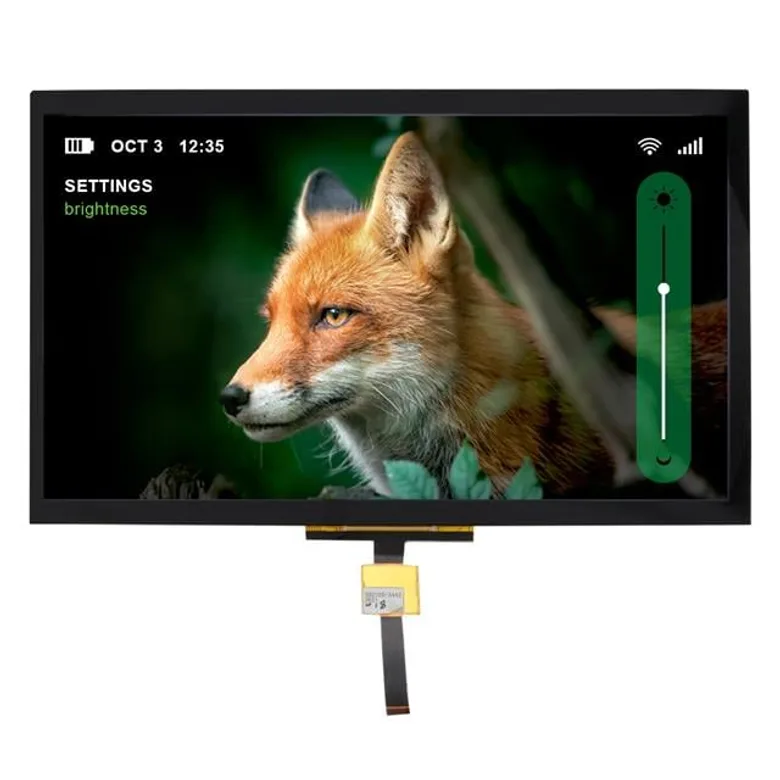 Newhaven Display Intl NHD-10.1-1024600BF-LSXP-CTP