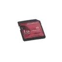 Innodisk USA Corporation DESDC-01GI81AW1SB