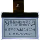 Gi Far technology Co., Ltd GFG128064A-FPFA