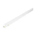 JESCO Lighting Group SG250-12-SWC-WH