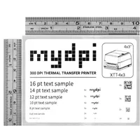 mydpi XTT-4X3