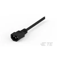 TE Connectivity Schaffner IL13-C14-SJT-3100-300