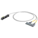 WAGO Corporation 706-2300/304-200
