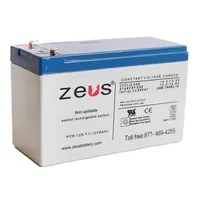 ZEUS Battery Products PC9-12SF1