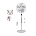 Ecohouzng CT40018