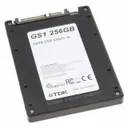 TDK SDE1B256GTFFWB00ESA0