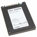 TDK SDE1B256GTKFWB00ESA0