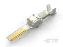TE Connectivity AMP Connectors 1-2288019-1
