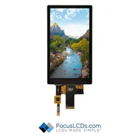 Focus LCDs E55RB-I-MW346-C