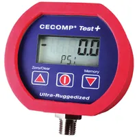 Absolute Process Instruments Inc. CTP3B30V200PSIG
