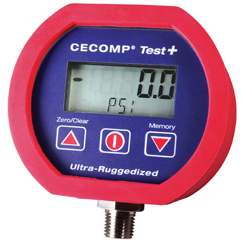 Absolute Process Instruments Inc. CTP3B30V200PSIG