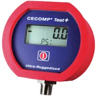 Absolute Process Instruments Inc. CTP1B60PSIG