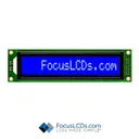 Focus LCDs C161C-BW-LW63