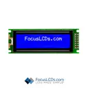 Focus LCDs C162C-BW-LW63
